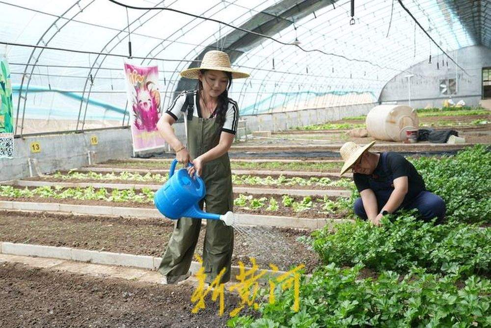 回村喽！90后夫妻逃离城市，打造治愈系“共享菜园”