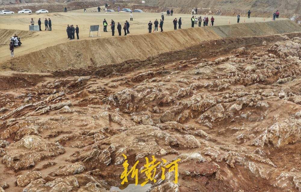 济枣铁路宁阳段发现“石海”，吸引众人“打卡”