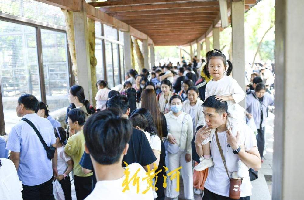 济南动物园成“遛娃胜地”，全家出游乐享亲子时光