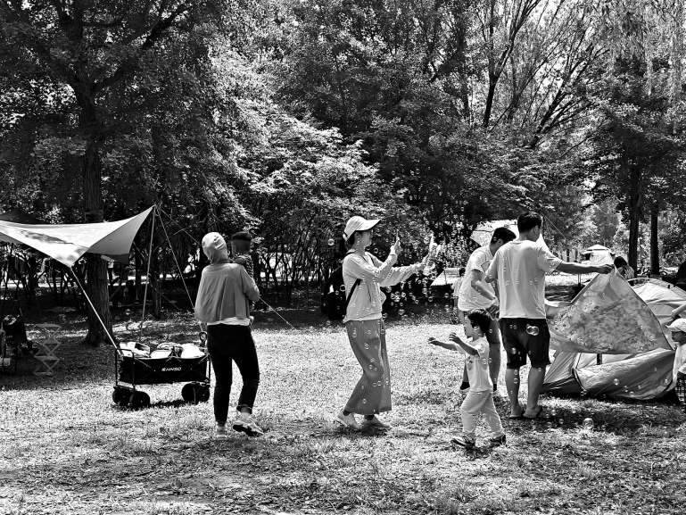 便捷又治愈、丰俭可由人......夏日聚会流行户外“约帐篷”