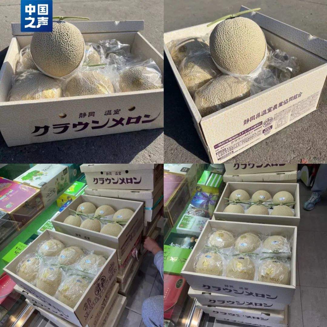 一个日本静冈蜜瓜要600元！你被这些“洋水果”背刺过吗？
