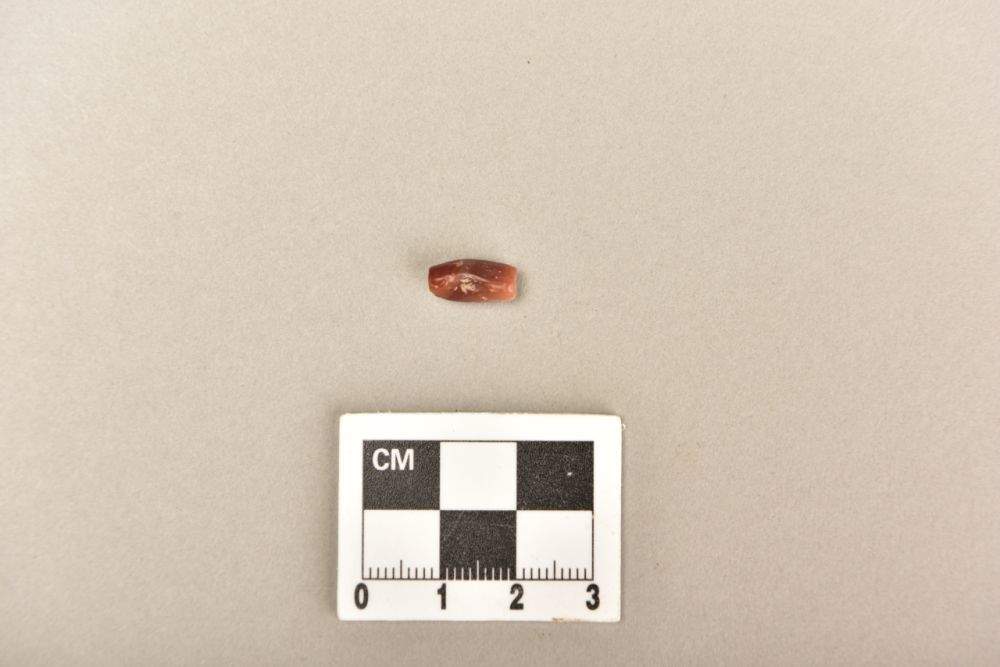 中乌联合考古揭开古丝绸之路千年遗存神秘面纱