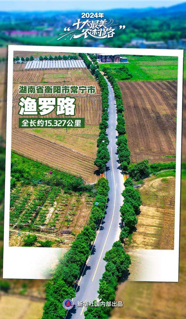 2024年“十大最美农村路”公布，一起去看“诗和远方”吧