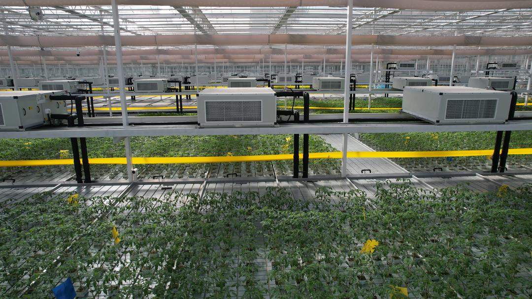 春耕春管田间行丨1.4毫米嫁接精度，这座“亚洲最大”工厂藏了什么黑科技？