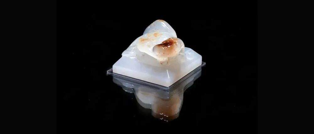 海昏侯墓考古，有新论断！