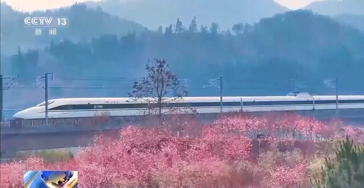 各地春日赏花有哪些好去处？请看这份赏花攻略