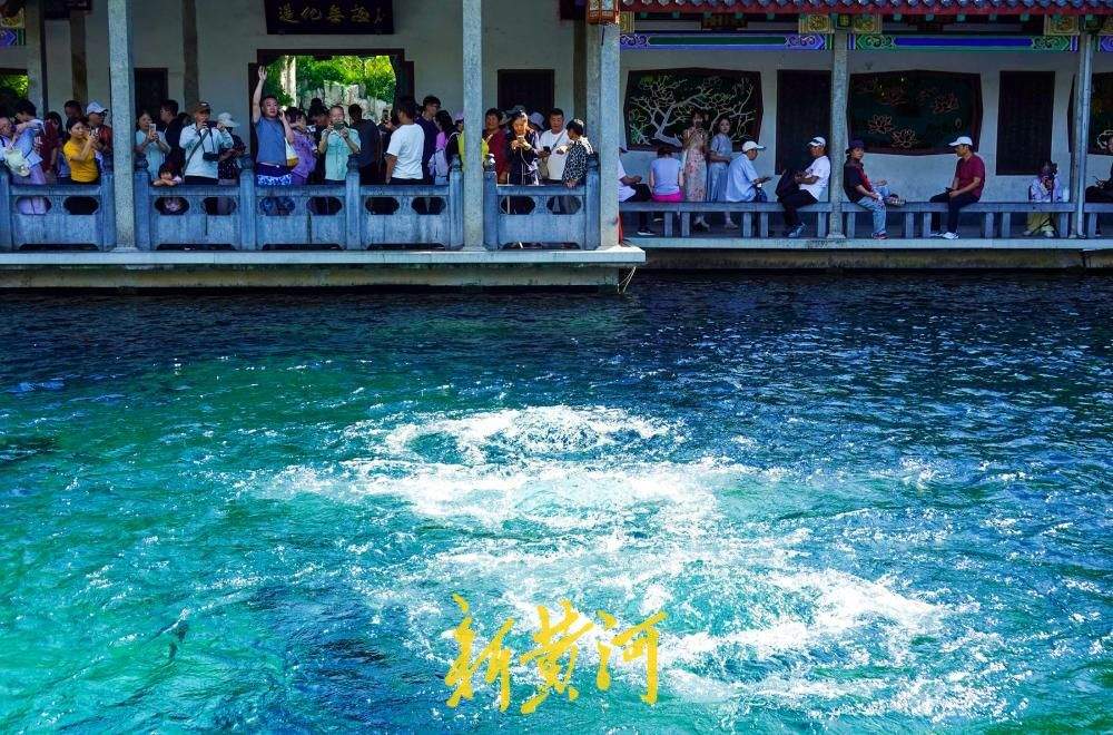 水涌若轮奔涌不息，趵突泉将迎复涌23周年