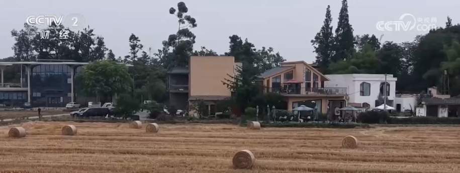 “种粮收入+秸秆增收+文旅衍生” 田园消费“新”场景催热“麦田经济”