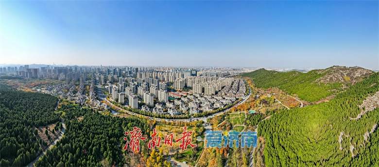 趵眼｜从“突破、深化、提升”到“赋能”，“项目战法”再跃升