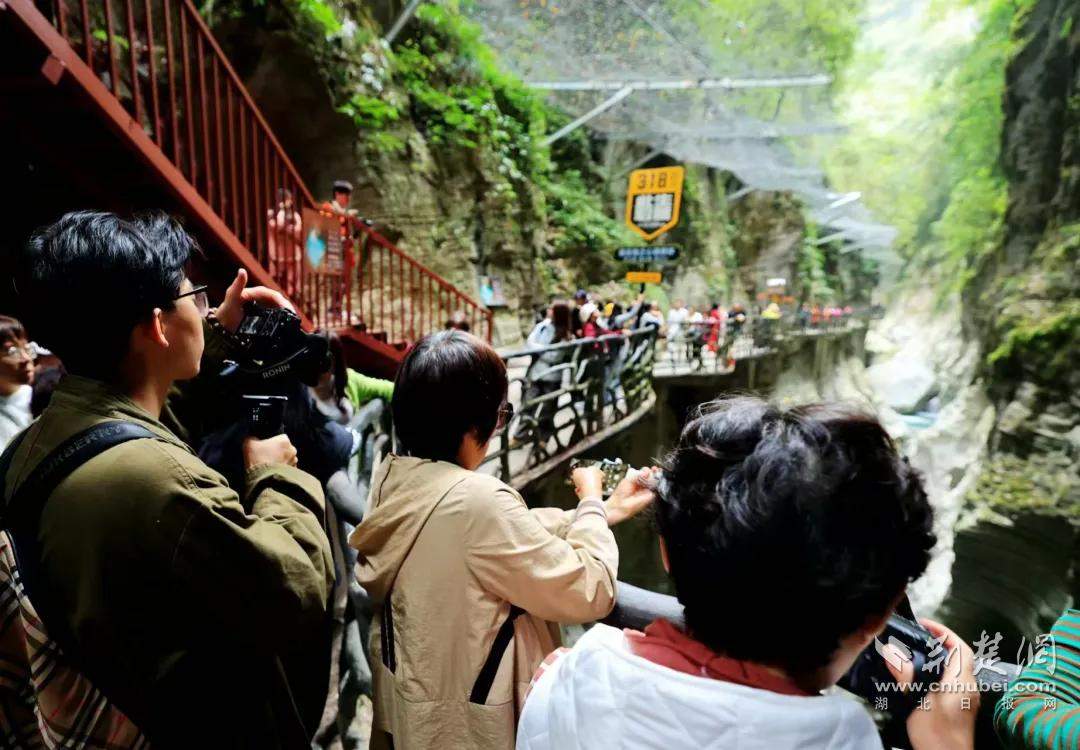 百辆房车汇聚地心谷，恩施州第二届露营大会即将启幕