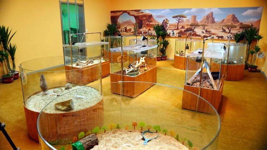 济南公园假期接待游客82.67万人次