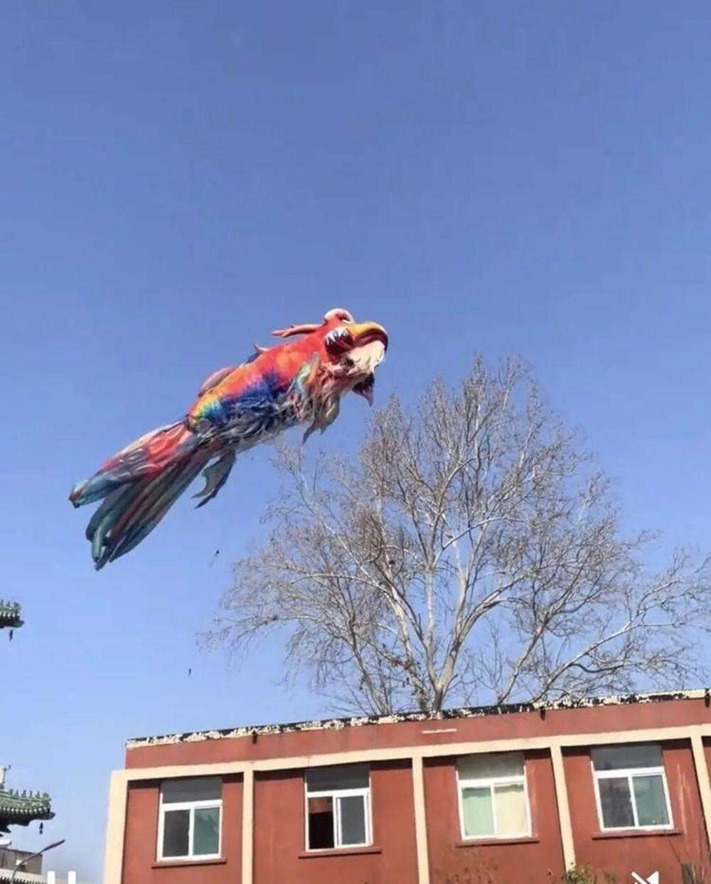 全网都在帮忙盯着,济南被大风吹走的“巨型鳌鱼”到哪了?网友:太有节目了