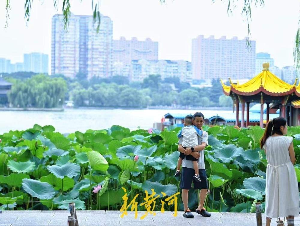 一年四季 泉在济南｜热浪退去凉意至 济南大明湖畔赏初秋荷韵