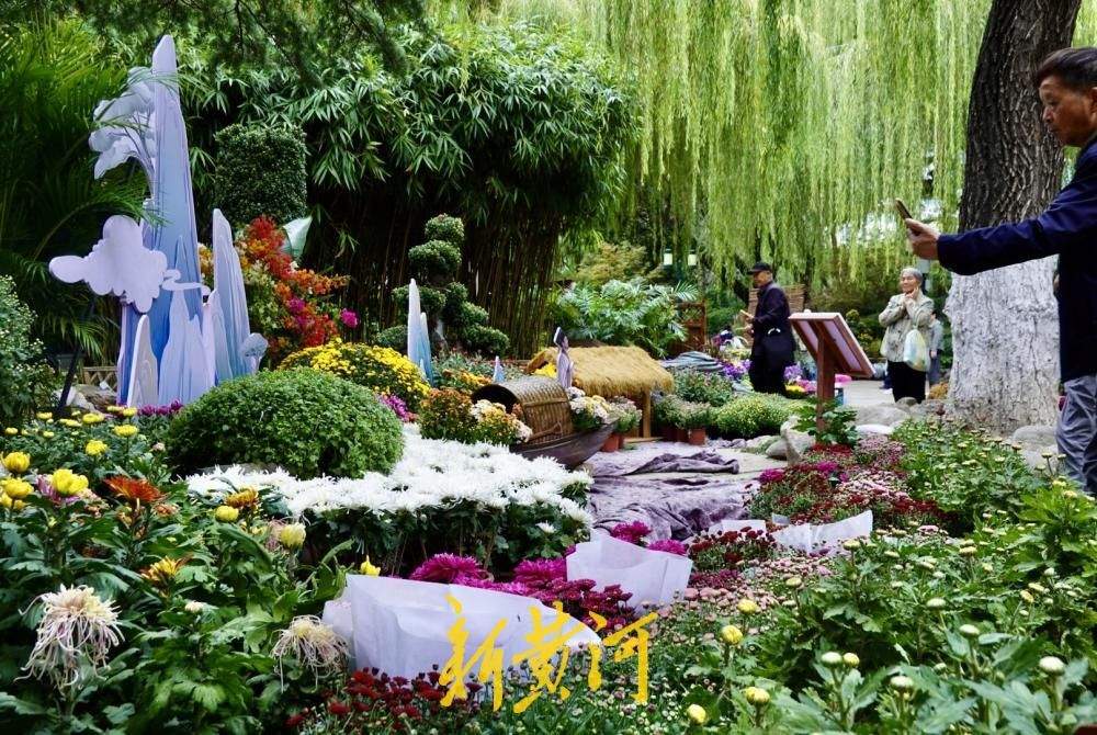 一园主展、三园联动！济南市第47届趵突泉金秋菊展探营