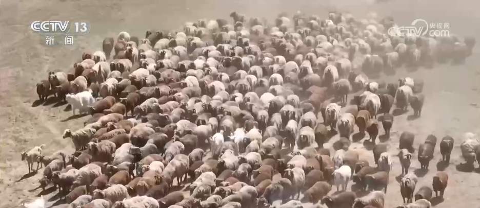 “商文旅”融合催热假日经济 “花样”民俗点燃消费市场新引擎