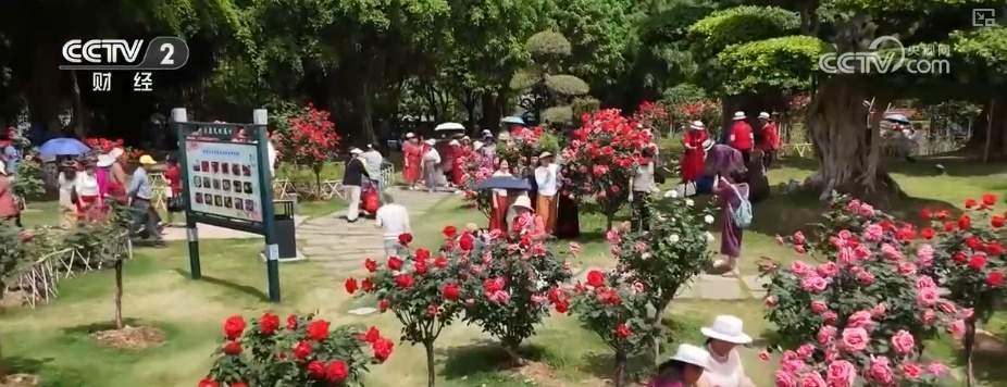 跨界融合“新风景”出圈 “五一旅游景点”搜索量暴涨