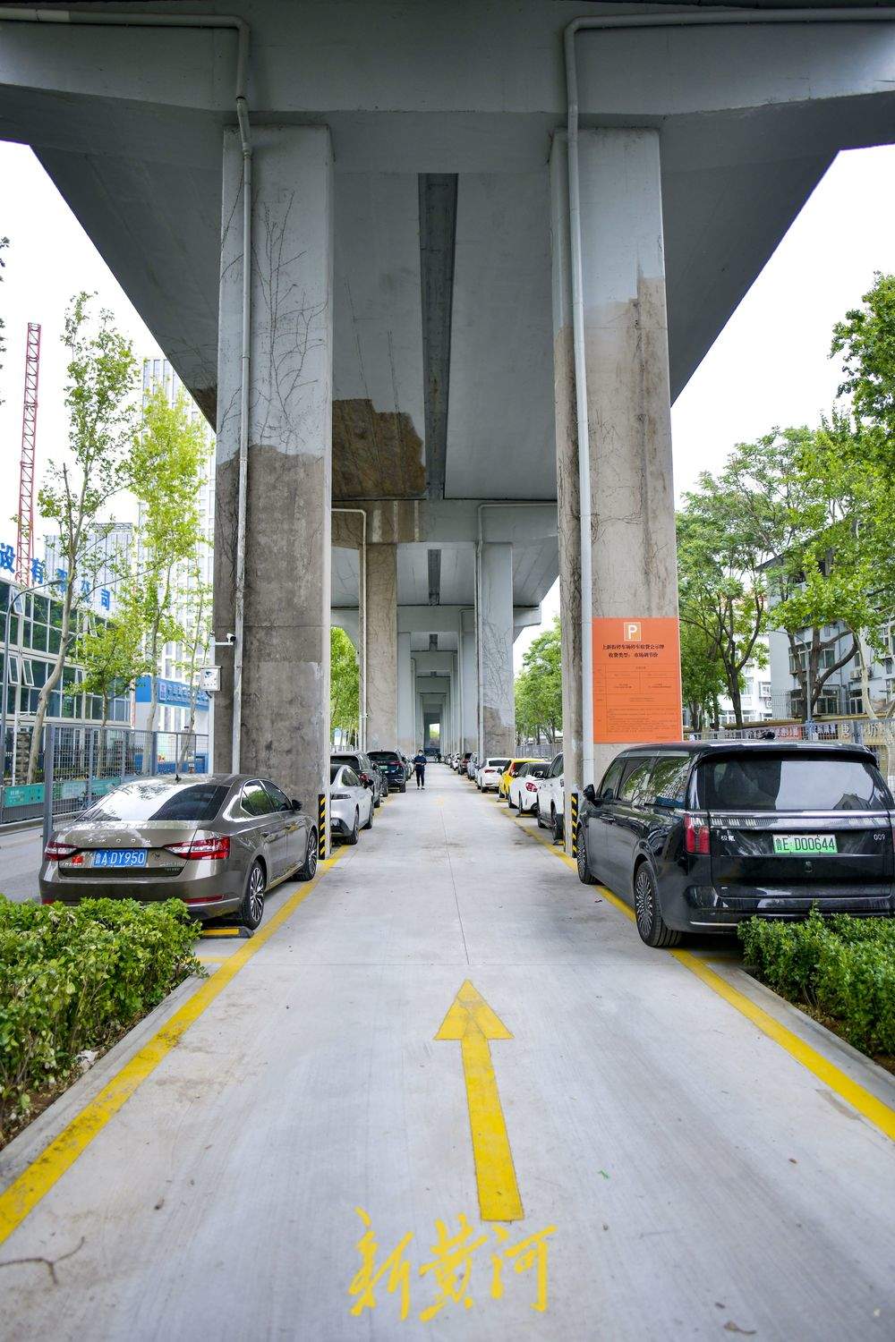 青年西路顺河高架下绿化带改为停车场