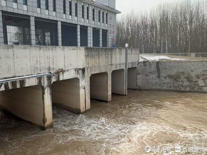 农业引水7082万立方米,济南邢家渡引黄灌区启动今年春灌工作