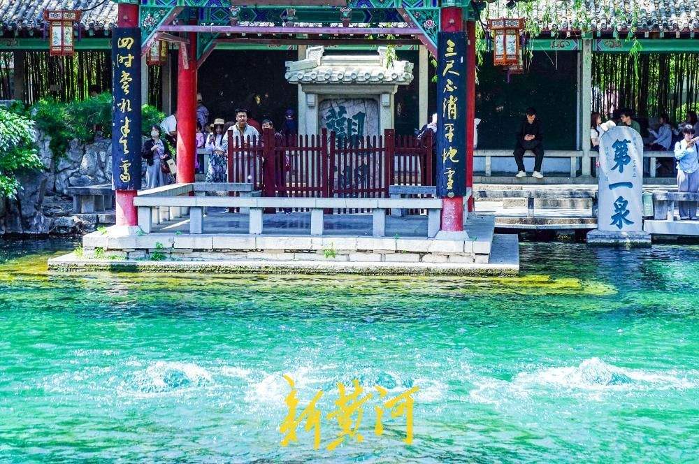 前期强降雨补源效果显著 趵突泉黑虎泉水位双双上涨
