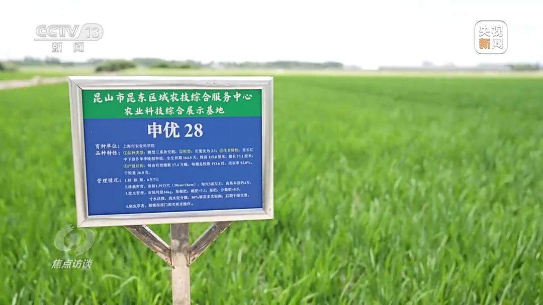 良田+良种+良机+良法 来看山东保丰收秘籍