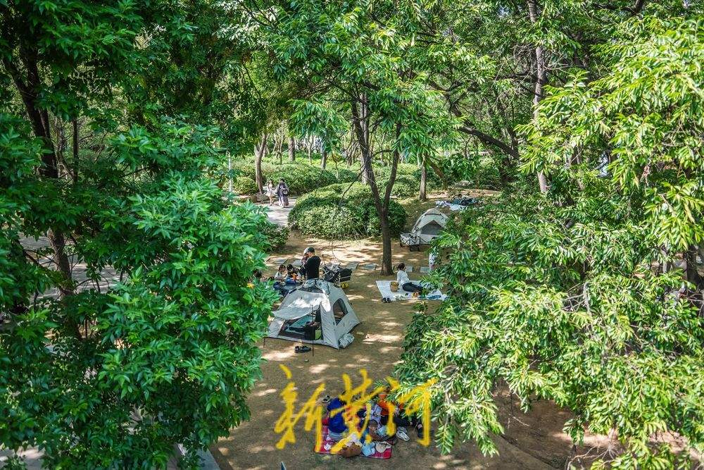 一年四季 泉在济南｜泉城公园露营热潮涌动 市民解锁城市“慢生活”新体验