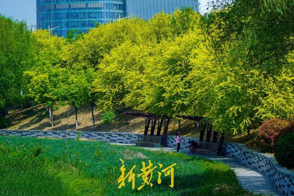 水清岸绿鸟归来,看济南腊山河畔的华丽蝶变