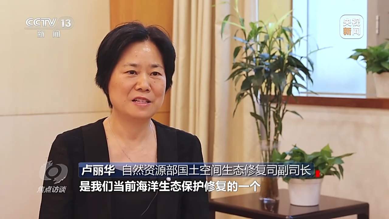 焦点访谈丨保护海洋生态 守好人海和谐的蓝色家园