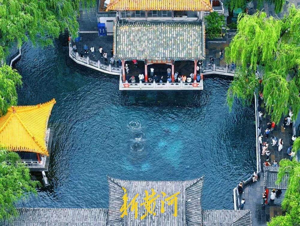 大雨润泉脉，济南泉水再迎盛景