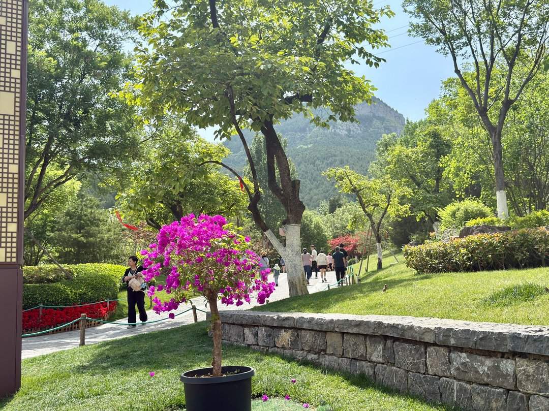 人头攒动，佛慧山公园成热门“打卡地”