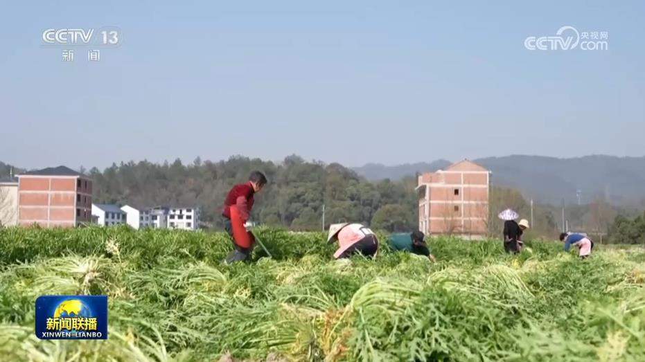 【新思想引领新征程】做大“蛋糕”缩小差距 浙江扎实推进共同富裕示范区建设
