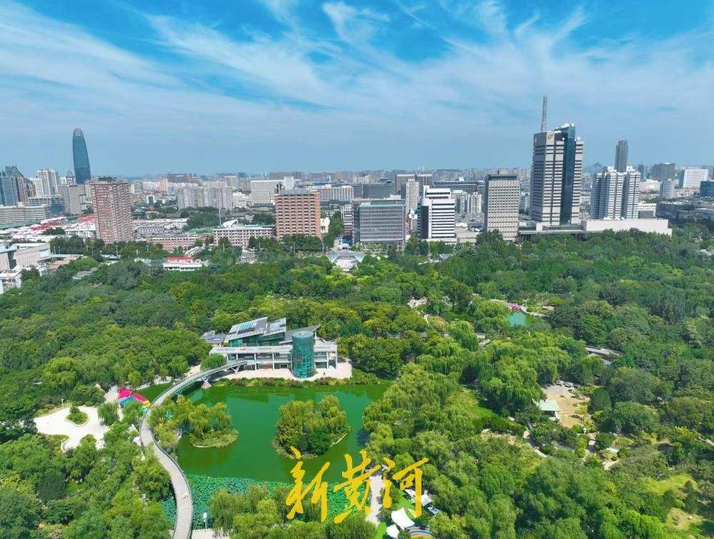 一年四季 泉在济南｜初秋泉城晴空万里，绿树成荫太美了