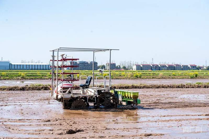 北斗导航绘制“丰收图景” 农机驰骋助力“三夏”颗粒尽归仓