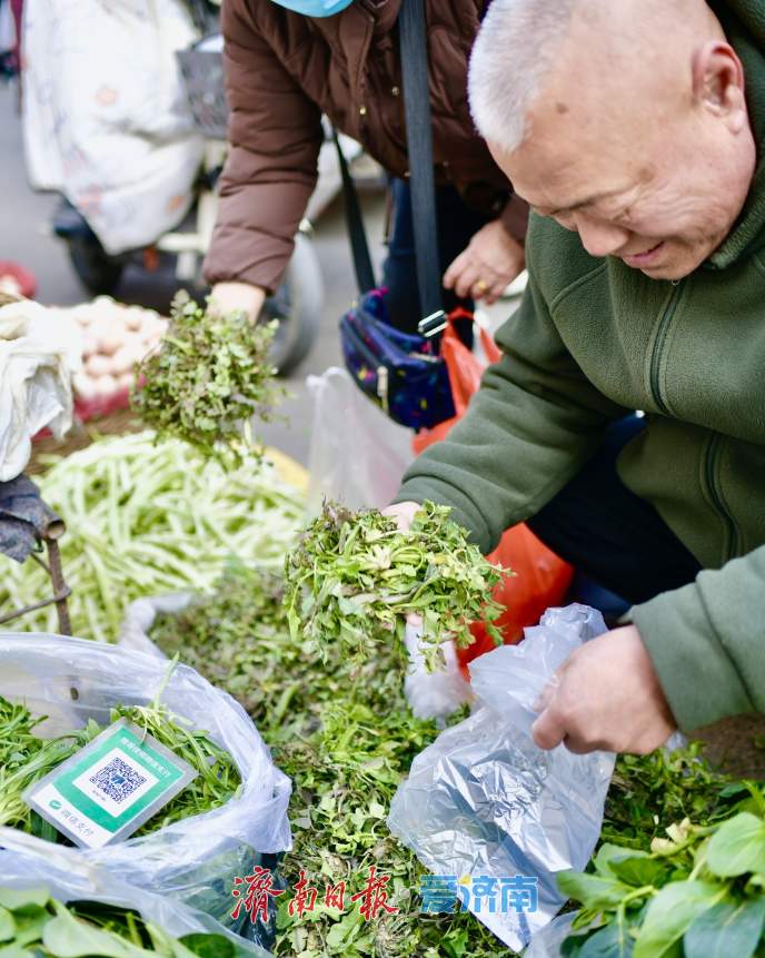 春菜“抢鲜”上市，菜市场满是春天的味道