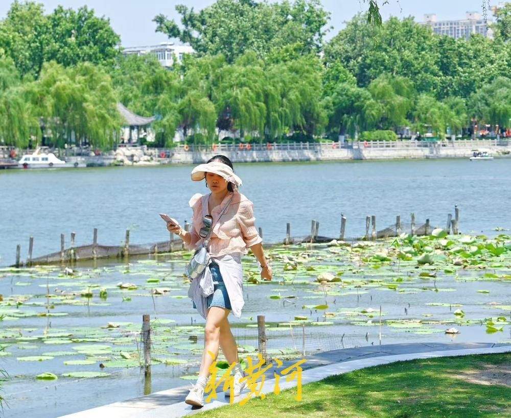 泉城连日高温 市民游客大明湖畔觅清凉