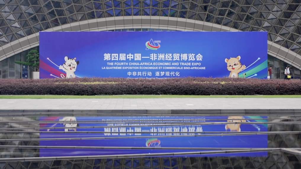 跨越山海 共赴这场中非大联欢