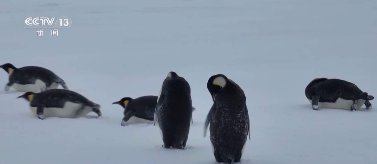 “雪龙2”号踏上回程 此行完成了哪些任务？