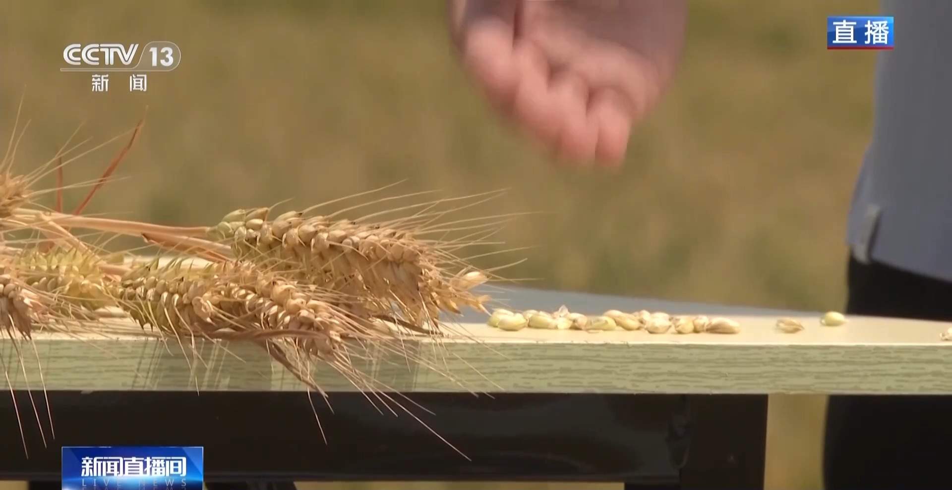小满已到 该吃什么玩什么？小满时节全攻略来了