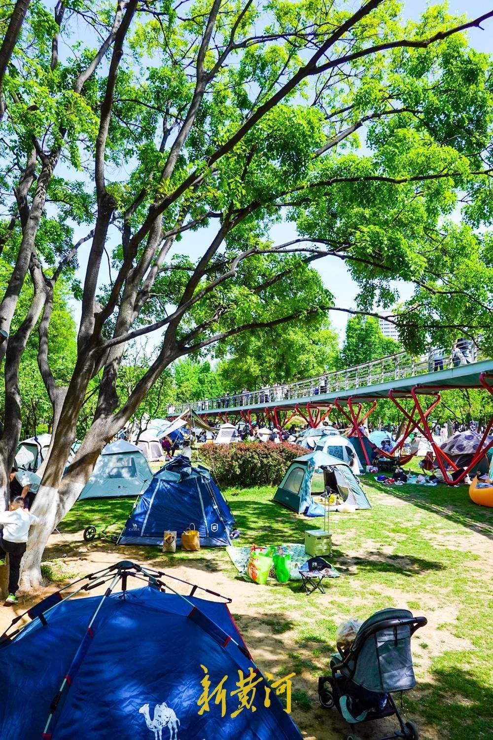 仲春公园迎来济南露营热 草地变身“户外客厅”