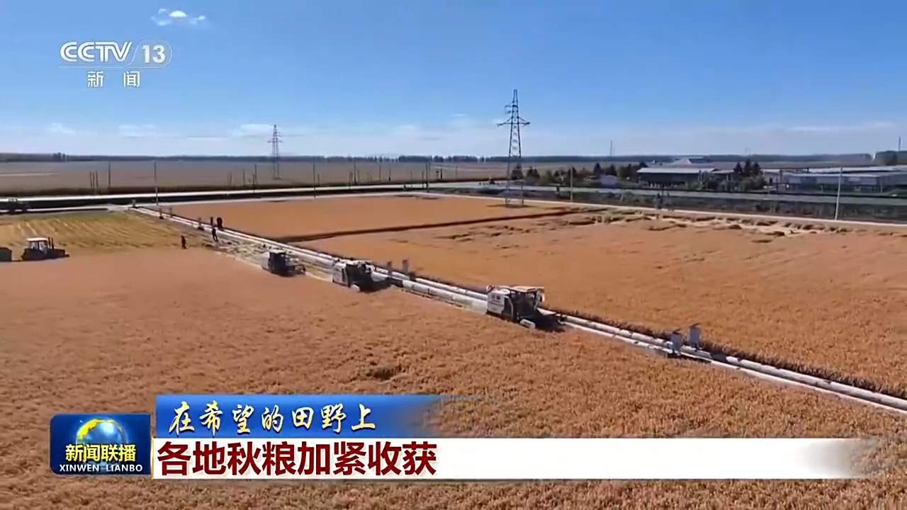全国秋粮收获已过四成 各地保障颗粒归仓