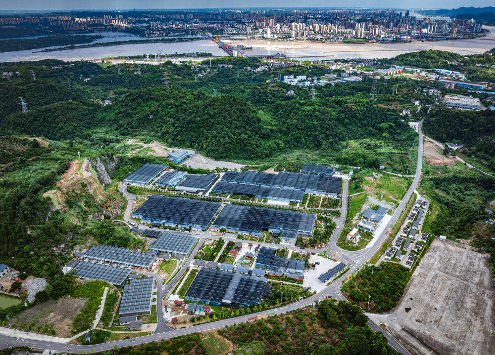 镜观·回响｜守护一江清水永续东流