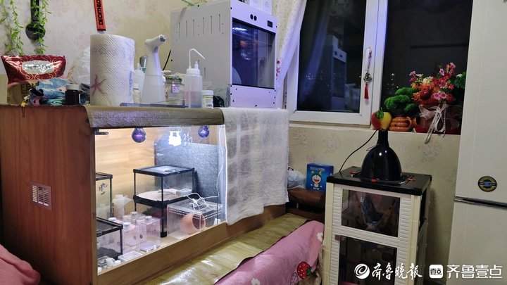 外形奇特、饲养简单，异宠带给年轻人不一样的饲养体验