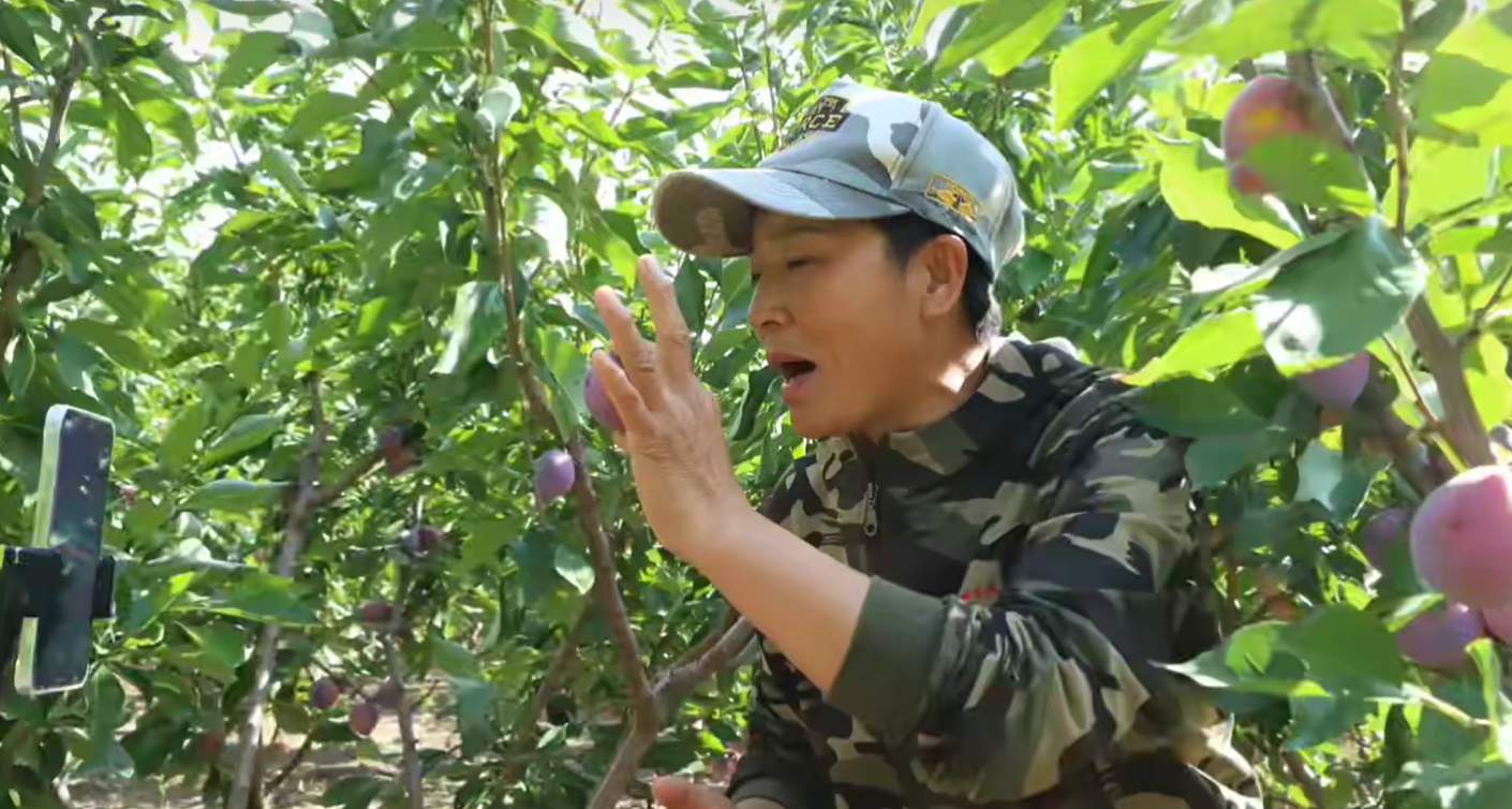 聚力数智赋能 焕新电商未来｜县域电商，把种植棚“搬”进直播间！