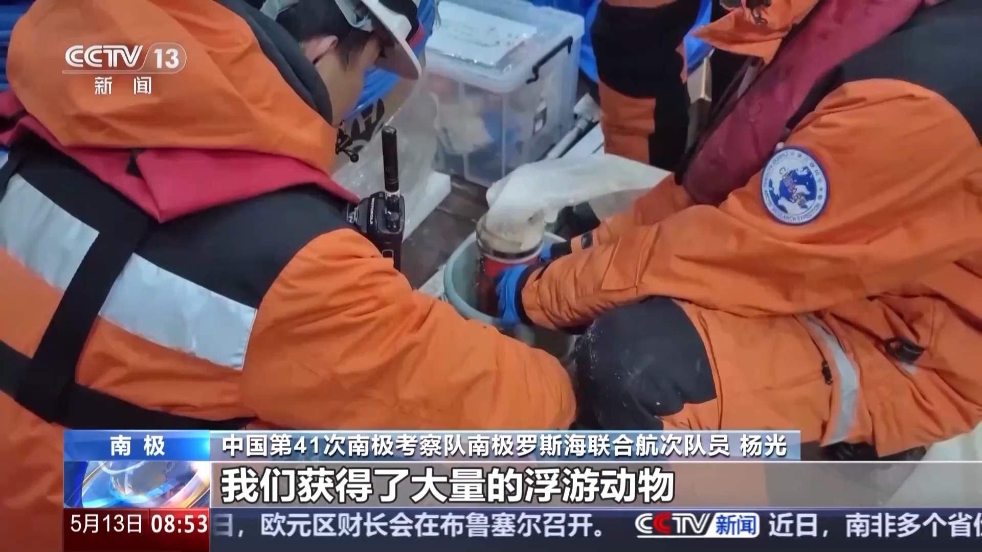 涉及海冰研究、海洋生物等 我国南极科考有了新发现