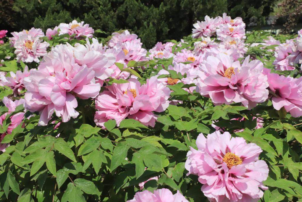 节令之美丨谷雨：山海之间春意浓