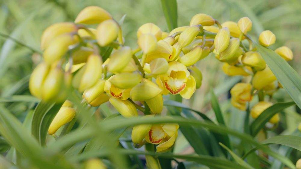 新华视点|2026开局暖人心:消费旺 服务优 基建稳