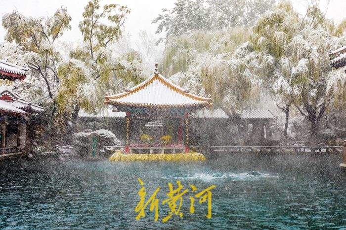 “泉”在济南过大年｜来泉城过年的理由很多，打动你的是哪个？