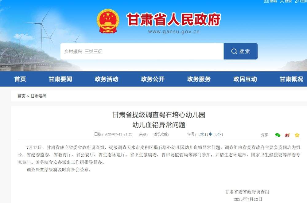 甘肃省提级调查褐石培心幼儿园幼儿血铅异常问题