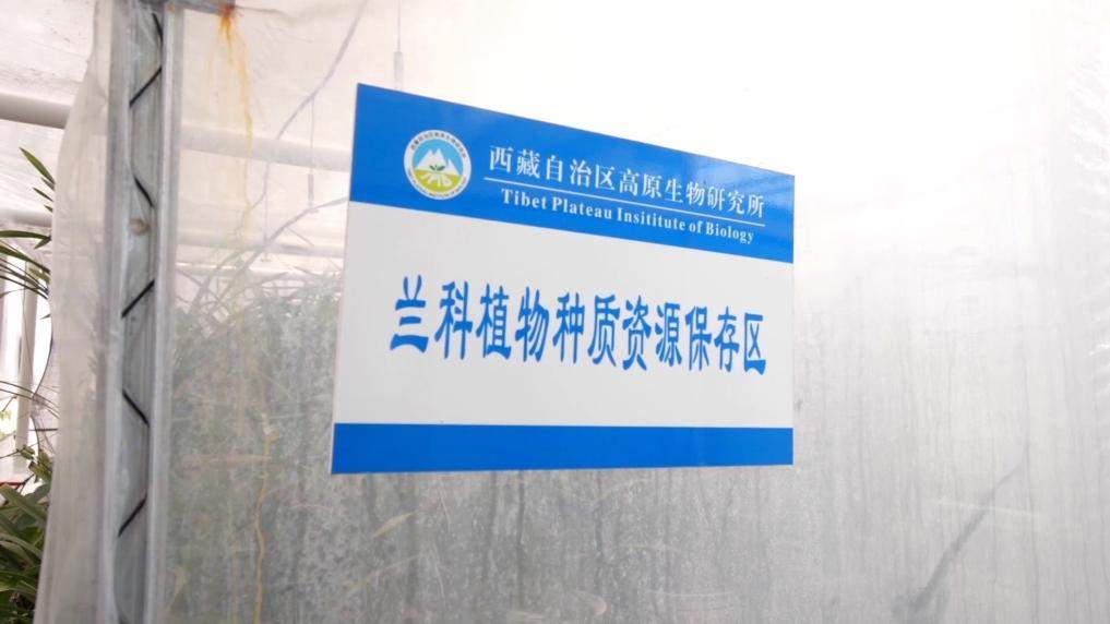 新华视点｜守护绿水青山 多元实践共筑生态环保新图景