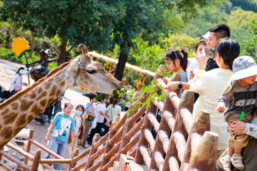 精彩活动陆续登场！济南文旅集团邀您走进泉城，共度中秋佳节