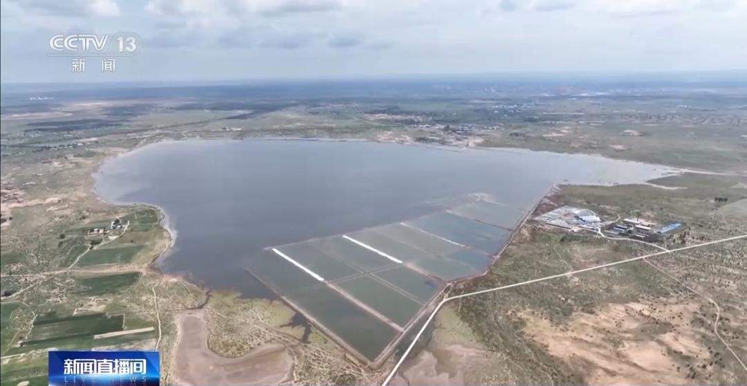 开渔期赶海忙!山东各大鲜活海产“游”进市场